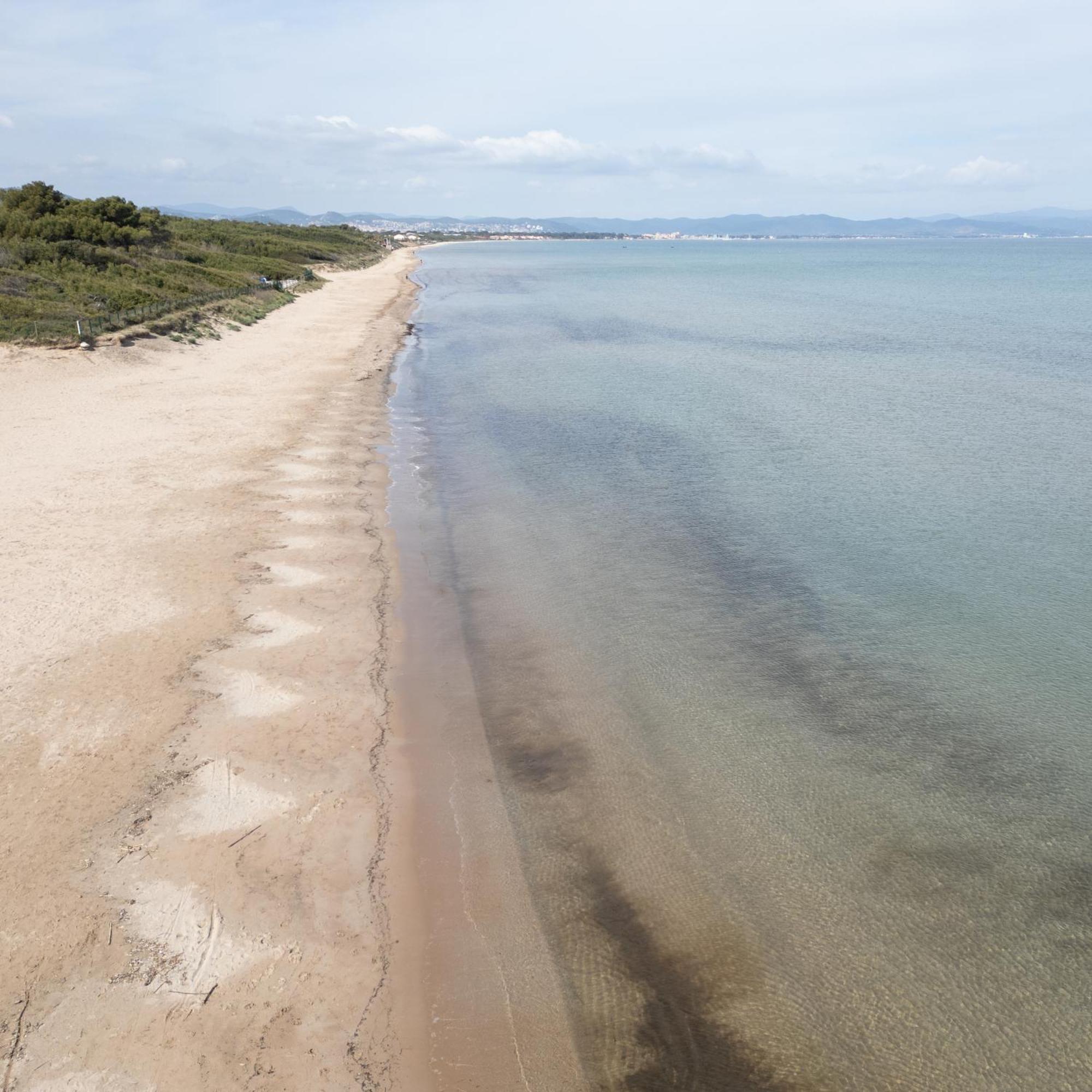 Le Domaine De La Mer - Appartements De Plage Dans Un Cadre Enchanteur Hyères Exterior foto