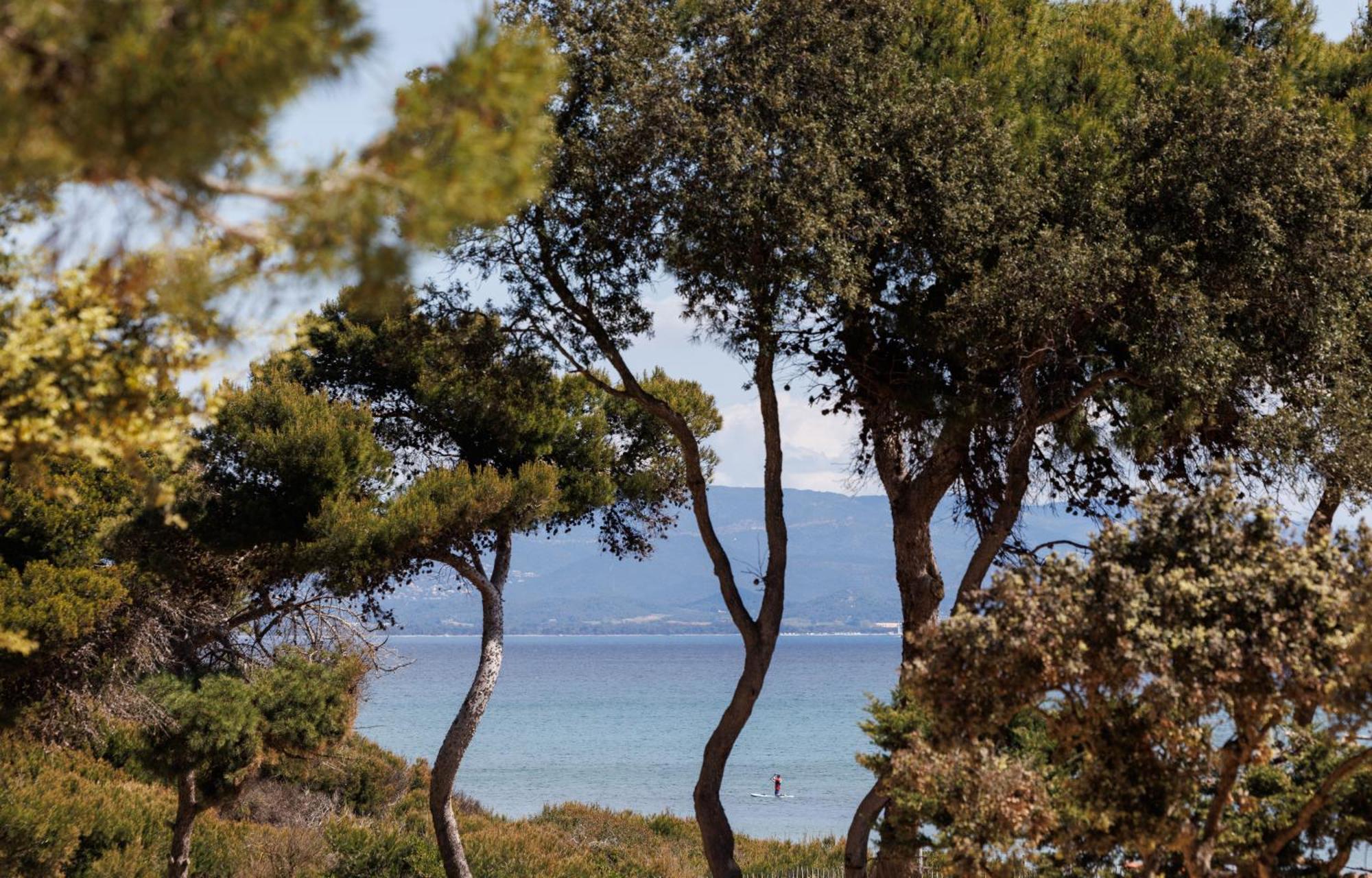 Le Domaine De La Mer - Appartements De Plage Dans Un Cadre Enchanteur Hyères Exterior foto